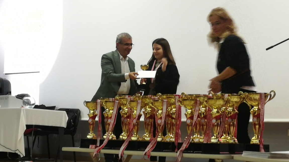 İstanbul Yıldızlar Satranç Turnuvasında Kupa Kazandık